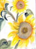 1994 Sonnenblumen.jpg